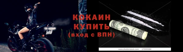 крисы Билибино