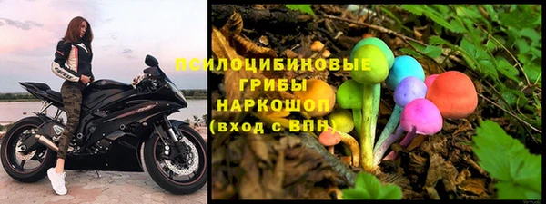 индика Абдулино