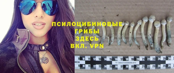 индика Абдулино