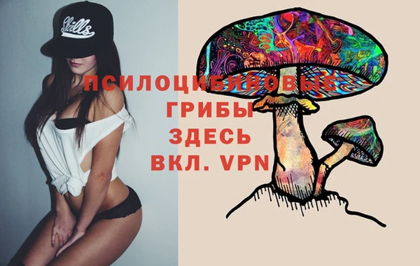 стаф Алексеевка