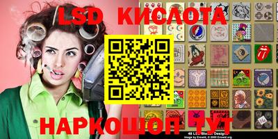 сатива Новодвинск