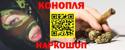 сатива Новодвинск