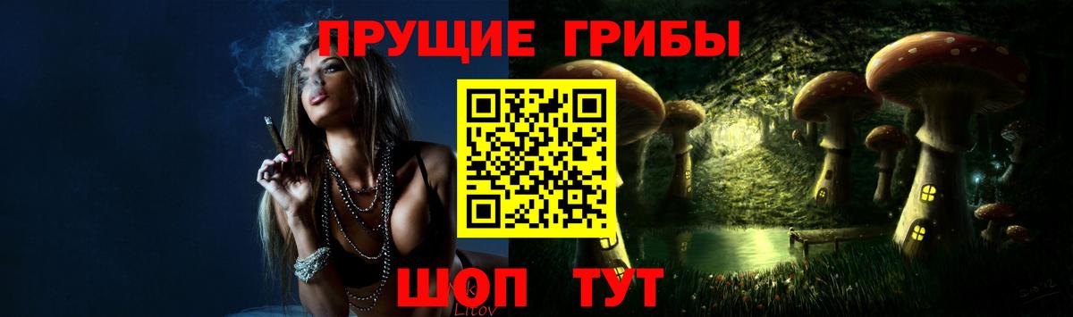 Галлюциногенные грибы прущие грибы  Псилоцибиновые грибы MAGIC MUSHROOMS  Вход с VPN  продажа наркотиков  Звенигород 